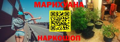 амф Краснодар