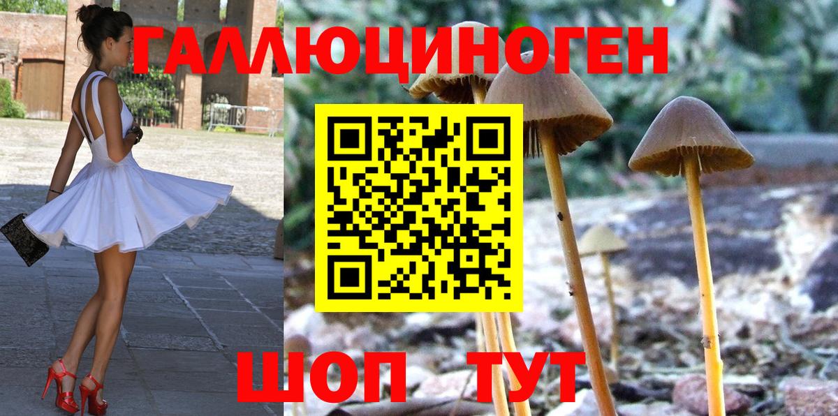 Псилоцибиновые грибы мухоморы Кирово-Чепецк