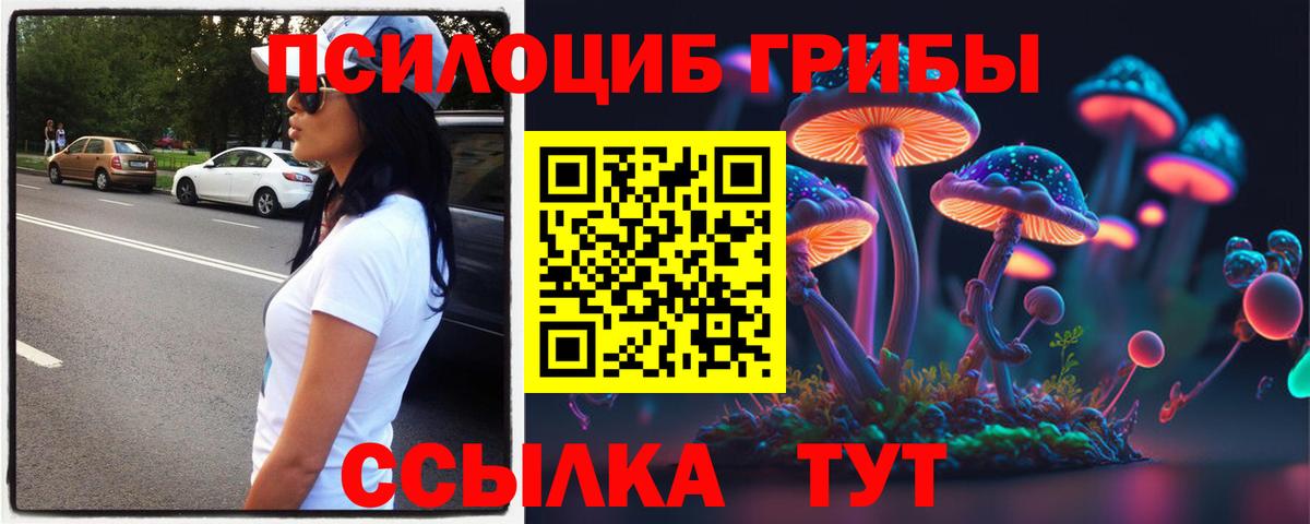 Псилоцибиновые грибы Psilocybe  Вход с VPN  Кирово-Чепецк 